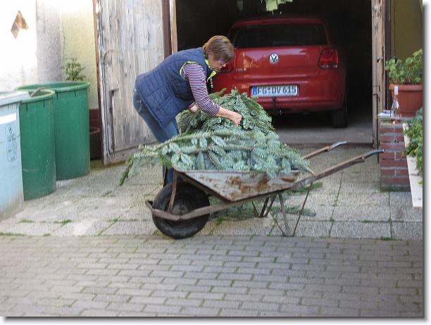 Nächstes Bild